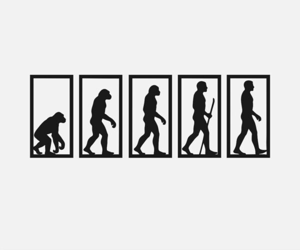 Evolución