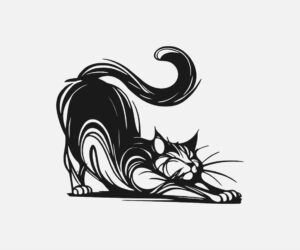 Gato estirándose